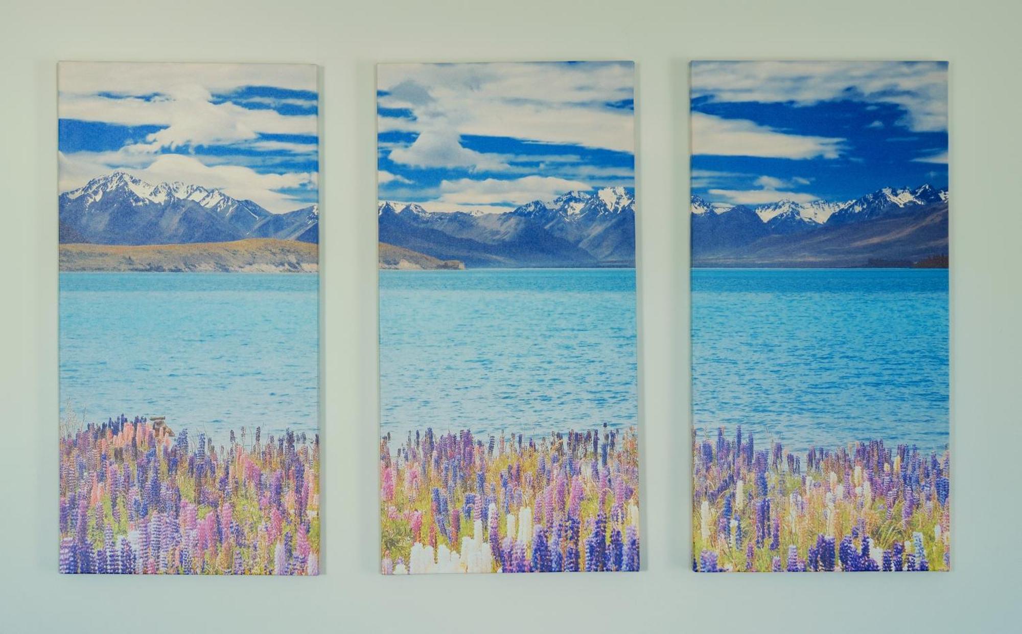 Kingfisher Lodge Lake Tekapo Pokoj fotografie